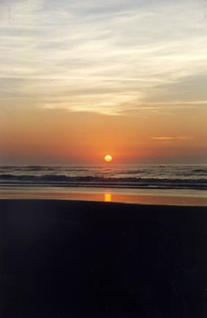 Sol