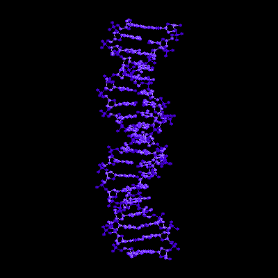 DNA
