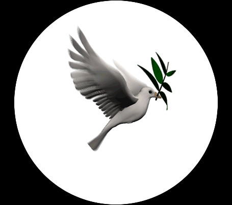Pomba da Paz