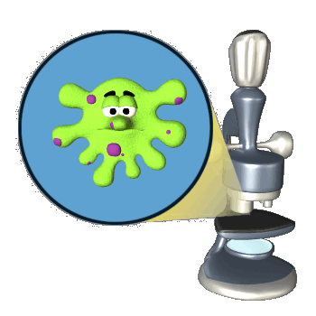Microscópio