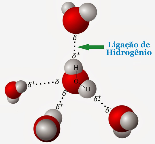 Ligações de Hidrogênio