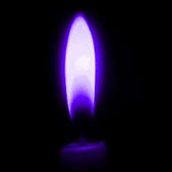 Vela
