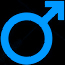 Masculino