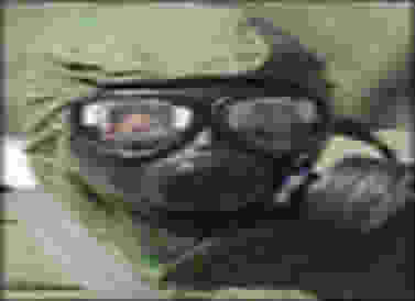 ARMAS  BIOLÓGICAS?!?!?!