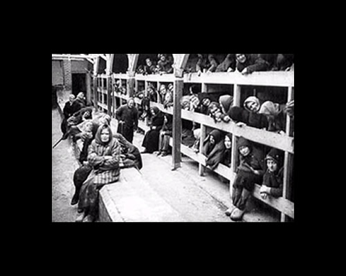 Auschwitz