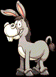 burro