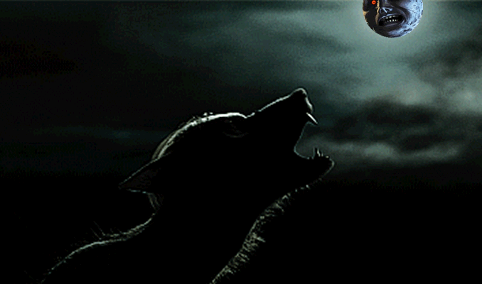 Lobo Mau