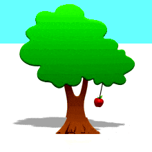 Macieira