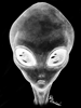 Roswell Grey