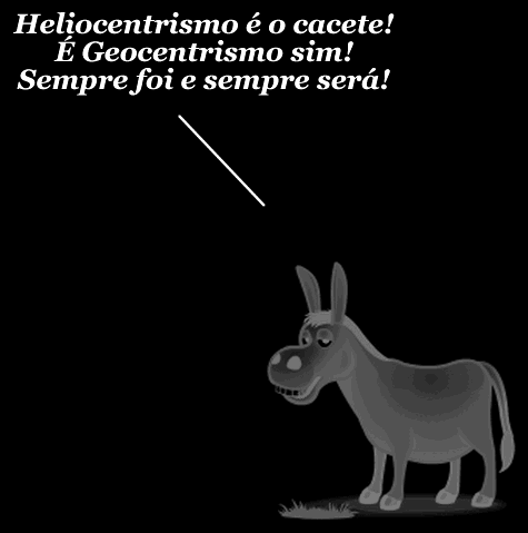 Burro