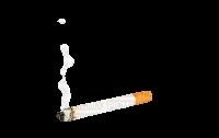 Cigarro