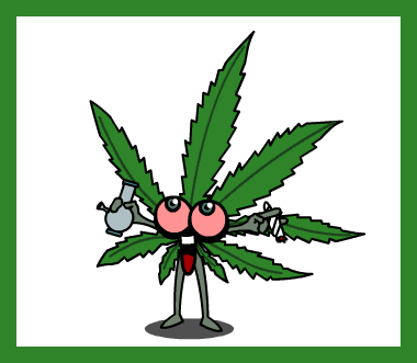 Marijuana