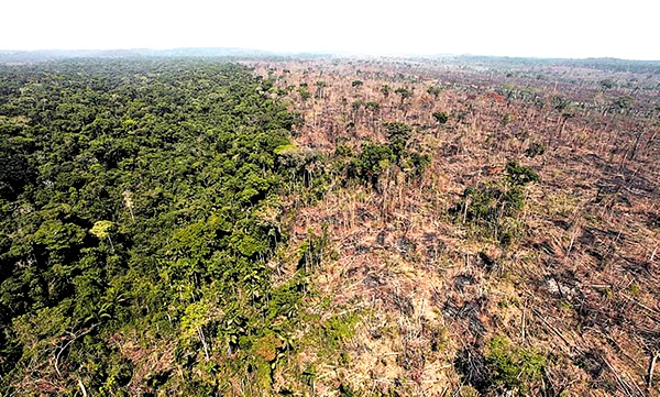 Amazônia Brasileira