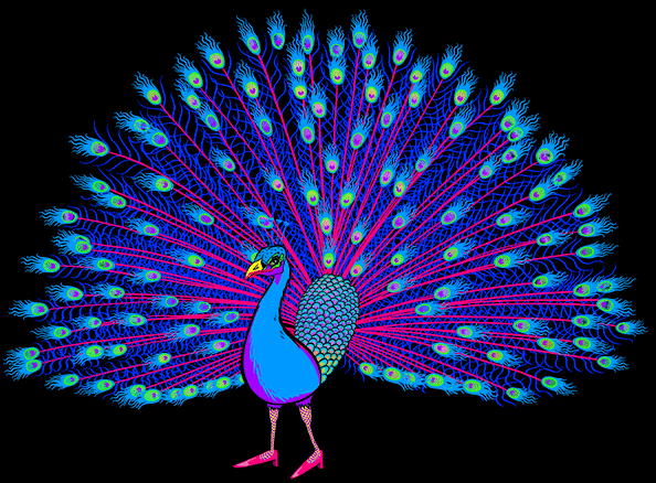 Pavão