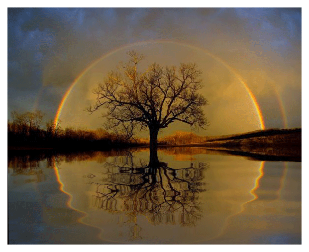 Paisagem Linda