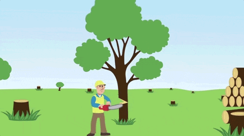 Criminoso Ambiental
