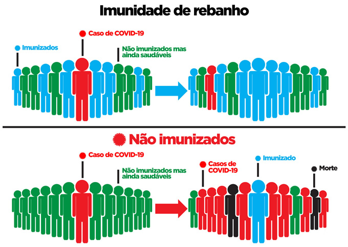 Imunidade de Rebanho