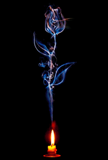 Vela