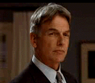Leroy Jethro Gibbs