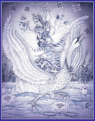 HANSA = HAMSA