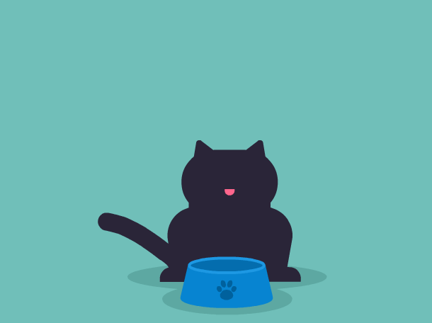Gato