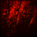 Inferno