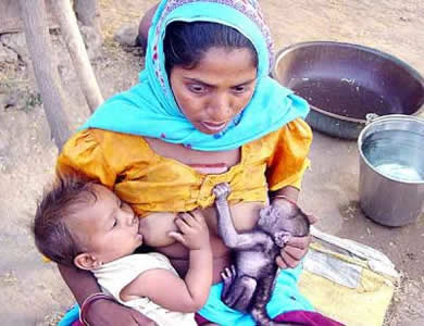 Solidariedade