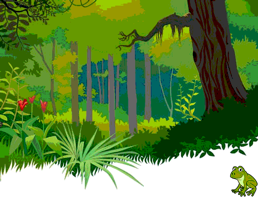 Floresta