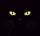 Gato Preto