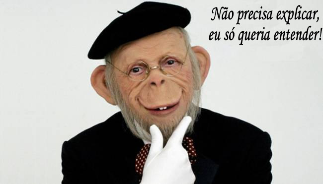 Macaco Sócrates