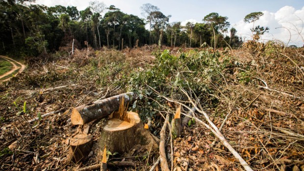 Desmatamento na Amazônia