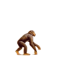 SERÁ???