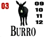Burro