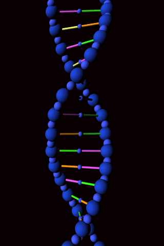 DNA