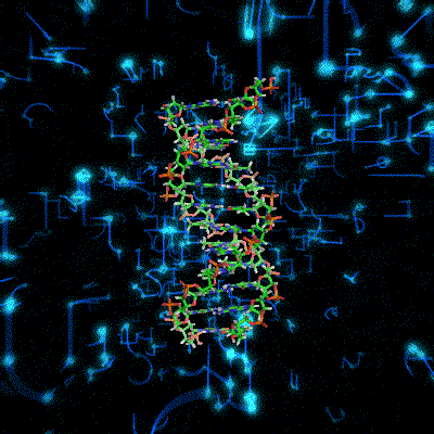 DNA