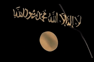 Al Qaeda