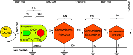 Cadeia Alimentar Quantitativa