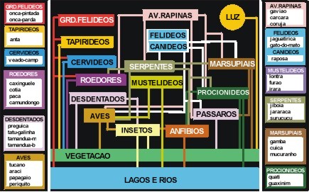 Teia Alimentar