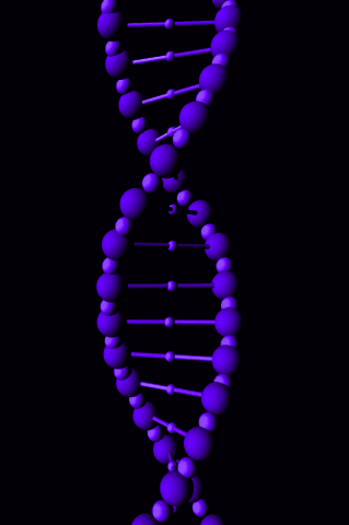 DNA