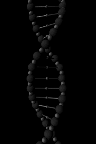 dna
