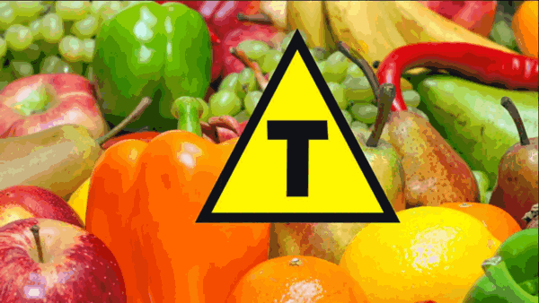 Alimentos Transgênicos