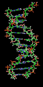 DNA