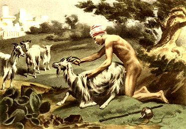 Zoofilia