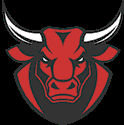 Bull