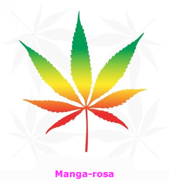 Manga-rosa