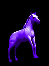 Cavalo