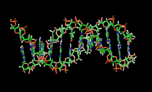 DNA