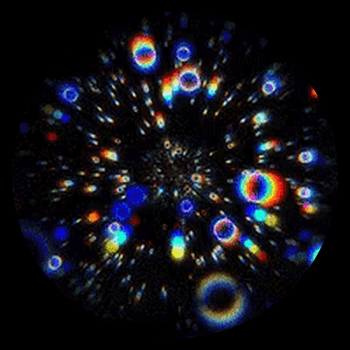 Unimultiverso