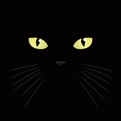 O Simpático Gato Vuvu