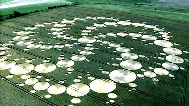 Crop Circle